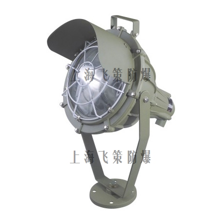 BTd51防爆投光燈 BTd51防爆投光燈